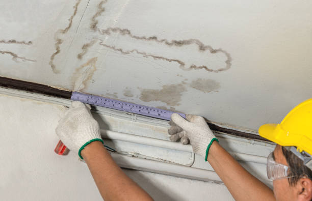 Reliable Basement Water Removal contractor in Kinston, NC by Water Damage Irwin